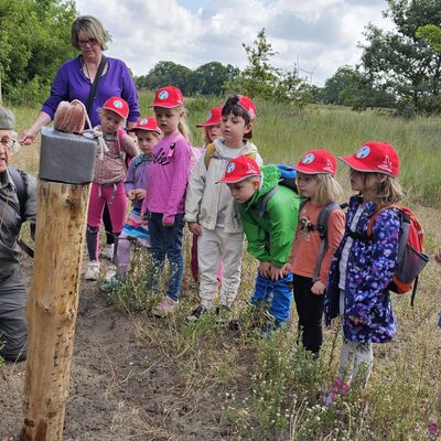 Bild vergr&ouml;&szlig;ern: Der J&auml;ger zeigt den Kindern die Tierapotheke.