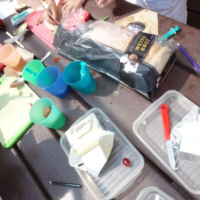 Bild vergr&ouml;&szlig;ern: Experimente um aus Lebensmitteln Energie zu gewinnen