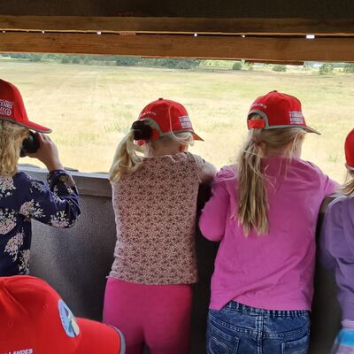 Bild vergr&ouml;&szlig;ern: Mehrere Kinder stehen auf einem Hochstand und schauen durch ein Fernglas.