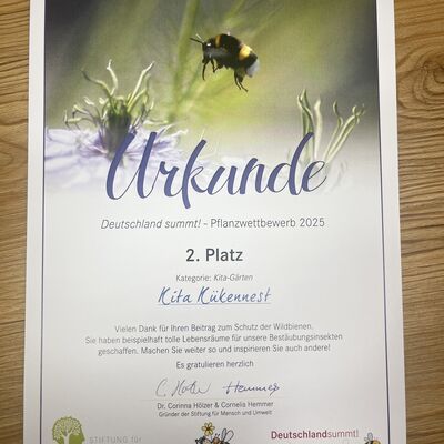 Bild vergr&ouml;&szlig;ern: Urkunde zur Preisverleihung - Deutschlang summ! - Pflanzwettbewerb 2025 - 2. Platz f&uuml;r die Kita K&uuml;kennest