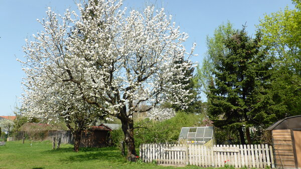 Gartenansicht im Fr&uuml;hjahr 2018
