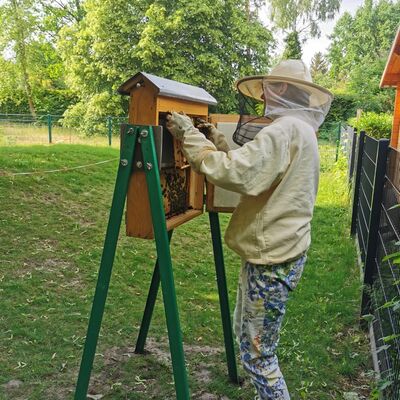 Bild vergrößern: Kita Kükennest - Naturtrainerin und Imkerin Sigrid arbeitet am Bienenstock