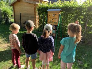 Bild vergrößern: Kita Kükennest - Kinder beobachten Bienen am Schaukasten