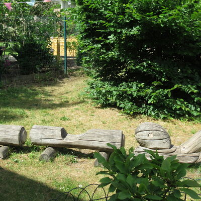 Bild vergr&ouml;&szlig;ern: Gro&szlig;schneckenalarm im Garten